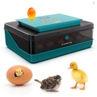 25 Trứng ấp trứng để ấp trứng Máy biến trứng tự động có màn hình hiển thị nhiệt độ và độ ẩm LED Máy tạo nến trứng Máy ấp trứng cho gà Vịt ngỗng Trứng chim bồ câu