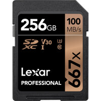 256 GB Professional 667x SDXC UHS-1 Memory Card