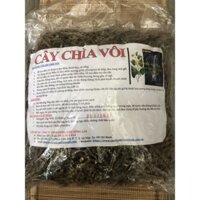 2kg cây chìa vôi