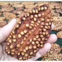 2KG CHUỐI HỘT ÉP ( CHUỐI NHÀ ) HÀNG LOẠI 1 - GIÚP GIẢM NHỨC MỎI VÀ SẠN THẬN - HÀNG VIỆT NAM CHẤT LƯỢNG CAO