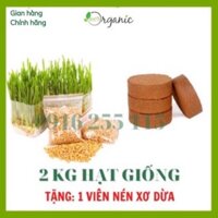 2kg cỏ lúa mì ( hạt giống) TẶNG 1 viên nén xơ dừa