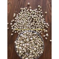 2kg Củ nén, Hành tăm Nghệ An nhà trồng