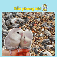 2kg hạt hỗn hợp hoàn chỉnh - thức ăn: Lovebird • Cockatiel • SunConure. (không chất bảo quản)