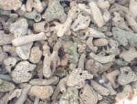 2kg san hô vụn cho bể cá cảnh