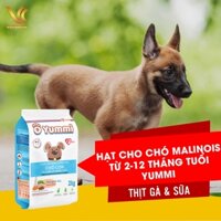 [2KG] Thức Ăn Hạt Cho Chó Béc Bỉ Từ 2 - 12 Tháng Tuổi | Yummi Vị Thịt Gà | VC Pet Shop