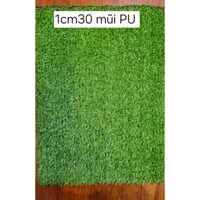 2m² Thảm cỏ nhân tạo 1cm 30mũi đế PU