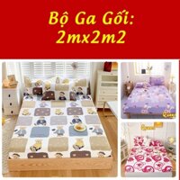 [2mx2m2] Bộ Ga Giường và 2 Vỏ Gối size 2mx2m2 💖Bộ drap giường 3 Món cotton 3D Bo Chun Miễn Phí