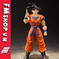 (2ND BOX FAKE)SHF SON GOKU EARTH