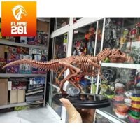 [2nd] Mô hình xương khủng long Dinosaur T-Rex 1/32