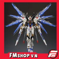 (2ND NO BOX) 1/100 DABAN STRIKE FREEDOM GUNDAM VER.MB