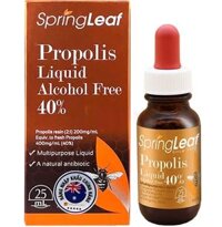 2Y+SPRING LEAF ÚC - KEO ONG GIẢM HO TĂNG ĐỀ KHÁNG