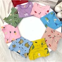 3 bộ cotton qc xịn