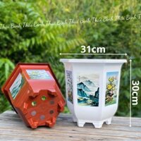 [3 Cái] Chậu Nhựa Lục Giác 300 In (31x30)