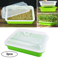 3 Cái Khay nảy mầm Khay nảy mầm Hạt giống Khay gieo hạt Khay lúa mì Hạt giống Trồng trọt không đất Chậu trồng trọt