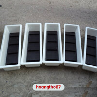 3 chậu trồng cây trồng  hoa rau ban công sân thượng đặt vừa kệ giá treo shop ghi ký hiệu chậu 67