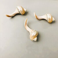 [3 CHIẾC] GÁC KÊ ĐŨA, GÁC ỐC TỰ NHIÊN 9 CM