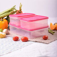 3 Hộp Nhựa Đựng Thực Phẩm, Trữ Đông Tiện Lợi (SET 2)