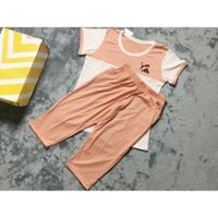 <3 HOT <3 Đồ Bộ Thun Cotton Co Giãn 4 Chiều