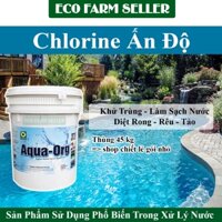 3 Kg Chlorine Ấn Độ 70% Xử Lý Nước Hồ Bơi - Sinh Hoạt ( Túi Chiết Lẻ )