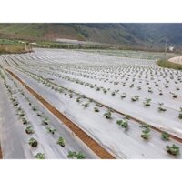 [3 KG] MÀN PHỦ NÔNG NGHIỆP CHỐNG CỎ MỌC CHỐNG NẮNG GIỮ ẨM ĐẤT LOẠI 30MíC