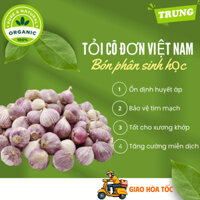 3 kg tỏi cô đơn, 1 nhánh, mồ côi Việt Nam loại TRUNG ngon lành bón phân sinh học cực tốt cho sức khỏe