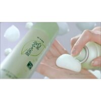 <3 SRM TRÀ XANH SHIROCHASOU DẠNG TẠO BỌT