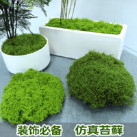 30 / 50g Mô Phỏng Rêu Cỏ Cỏ Cỏ Nhân Tạo Rêu Xanh Cây Giả Cho Nhà Vườn Tường Micro Phong Cảnh Trang Trí