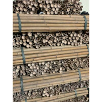 30 CỌC TRE 1.2m thanh lý giá rẻ làm giàn trồng rau, decor trang trí