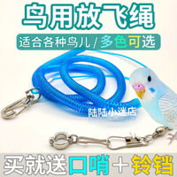 [30 Ngày Giảm Giá 1388 Miếng] Vẹt Dây Bay Vòng Chân Vòng Chân Da Hổ Mẫu Đơn Xuânfeng Đầy Sao Dây Bay Thép Không Gỉ Huấn Luyện Dây Xích Chim Lực Kéo