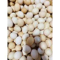 30 quả trứng gà ta thả vườn thơm ngon