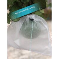 300 túi bọc xoài kích thước 22x30