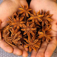 300gr HOA HỒI KHÔ/ ĐẠI HỒI KHÔ - sạch, đẹp, thơm phức dùng nấu phở và món trung