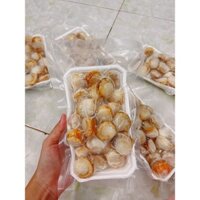 300GR NÕN SÒ ĐIỆP NHẬT