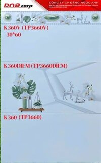 30*60 K360V Gạch ốp tường Viền (1.44m/8v/th)