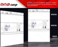 30*60 RP3679V1 Gạch ốp tường Viền men bóng Hoàng Gia