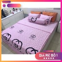 (3069) Bộ gối kèm chăn ga giá tốt nhất