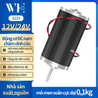 31ZY DC Động Cơ Tốc Độ Cao 12V 24V 3500rpm-8000rpm PWM Bộ Điều Khiển Đảo Ngược Nam Châm Vĩnh Cửu Tiếng Ồn Thấp Động Cơ Kim Loại Động Cơ Điện
