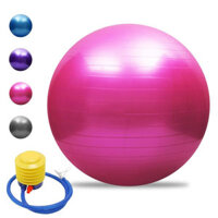 330lb Max Load 2mm Thickened PVC Yoga Ball With Air Pump Home Gym Workouts Pilates Training Ball Fitness Equipment