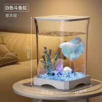3351 Người Khen ngợi Bể Cá Nhựa Chống Rơi Betta Bể Cá Phòng Khách Văn Phòng Cá Vàng Cây Xanh Trang Trí Cảnh Quan Nhỏ Micro Phong Cảnh Sinh Thái Xe Tăng xyg3.