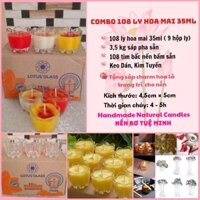 [3,5kg sáp] Combo Làm Nến 108 Ly Hoa Mai 35ML (Nến Bơ Tuệ Minh)