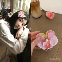 [3757 Người Đã Thu Thập] Kẹp Tóc Hoa Lan Bướm Kiểu Cùng Yi Mengling Dành Cho Phụ Nữ, Đạo Cụ Chụp Ảnh Phong Cách Rừng, Kẹp Tóc Phụ Kiện Tóc Bãi Biển