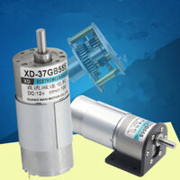 37gb555 Mô-men xoắn lớn Trục lệch tâm Bàn chải Mini Động cơ giảm tốc DC DC12V / 24V 15W Động cơ giảm tốc bánh răng kim loại Tốc độ thấp Ngược lại
