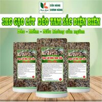 3kg gạo lứt dẻo tam sắc Điện Biên, dẻo, thơm ngon - Hoài Linh Điện Biên. Hữu cơ Tự nhiên Gói