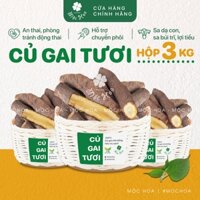 [3kg] Thảo mộc Củ gai tươi an thai cho bà bầu