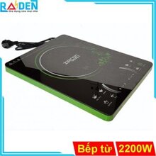 Bếp điện từ đơn Zircon ZCN-317
