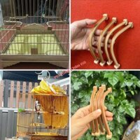 4 Cầu góc tre liền khối - Cầu góc tre giá cho lồng chim chào mào kèm tai