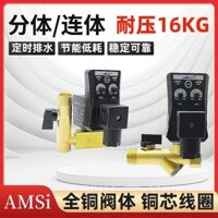 4 Điểm Van Xả Điện Tử Thời Gian Thoát Nước Tự Động AC220V Máy Sấy Lạnh Máy Nén Khí Bình Chứa Khí Van Điện Từ