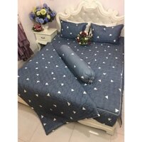 (4 món)Bộ ga gối 💖m6/m8/2m2💖 drap giường poly, ga trải giường + 2 vỏ gối nằm+ 1 vỏ gối ôm