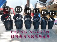 40 chậu nhựa trống lan F14