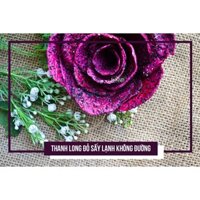 400g thanh long đỏ sấy không đường